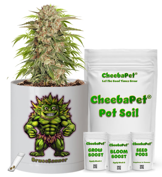 CheebaPet Planter Kit - Alpha Collection - BruceBanner