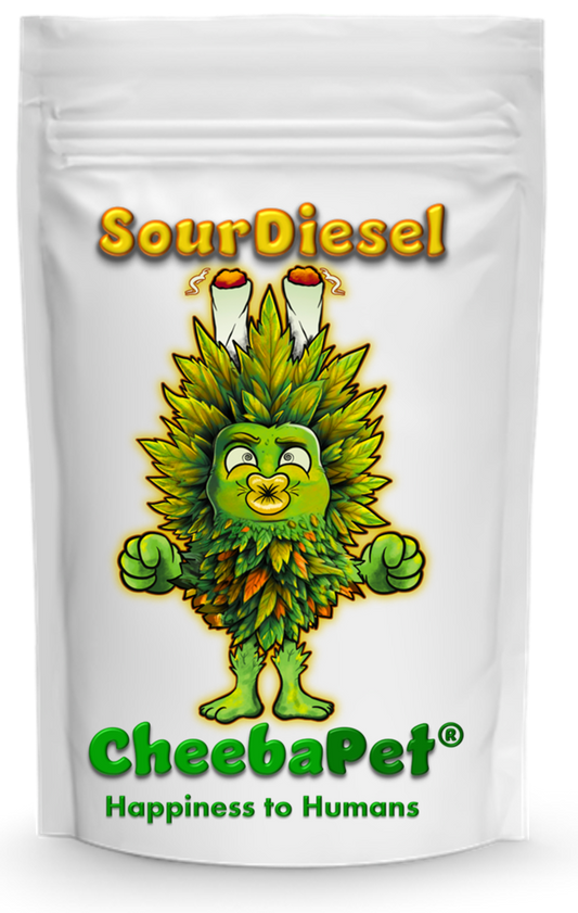 SourDiesel Auto-Flower Seeds