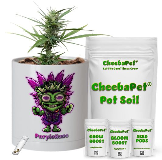 CheebaPet Planter Kit - Alpha Collection - PurpleHaze