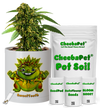 CheebaPet Planter Kit - SweetTooth