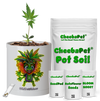 CheebaPet Planter Kit - WhiteWidow