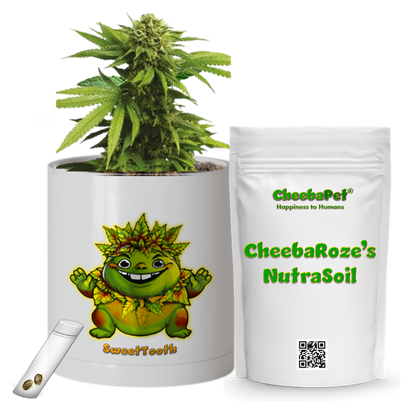 CheebaPet Planter Kit - Alpha Collection - SweetTooth