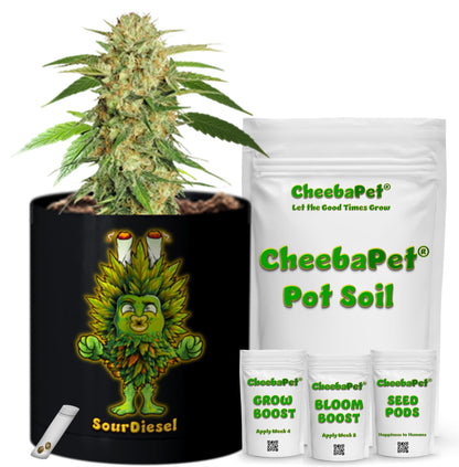 CheebaPet Planter Kit - Alpha Collection - SourDiesel