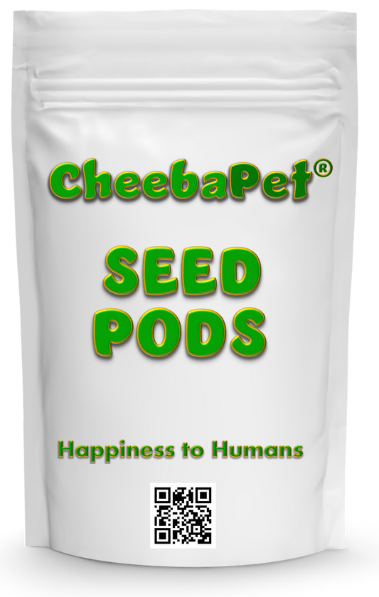 Cheebapet Seed Pods