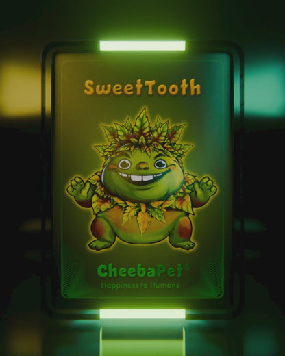 CheebaPet Planter Kit - Alpha Collection - SweetTooth