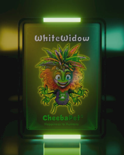 CheebaPet Planter Kit - Alpha Collection - WhiteWidow